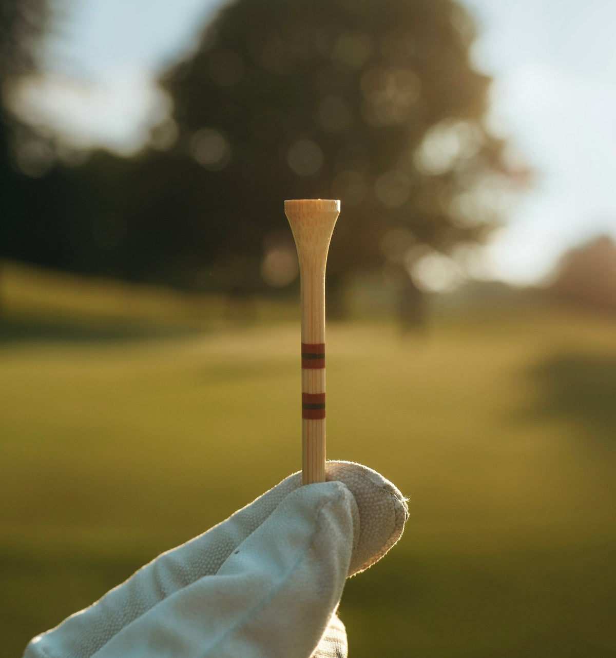 "Grill Masters" Golf Tees